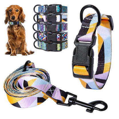 Walk your pup in style with this beautiful leash set 