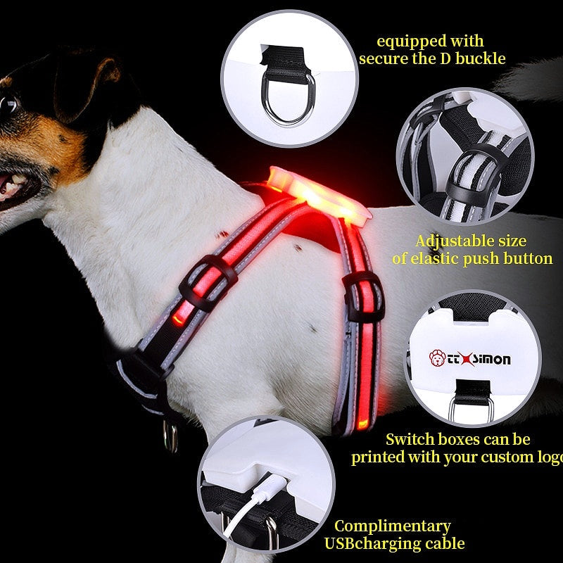 rechargeable dog accessory