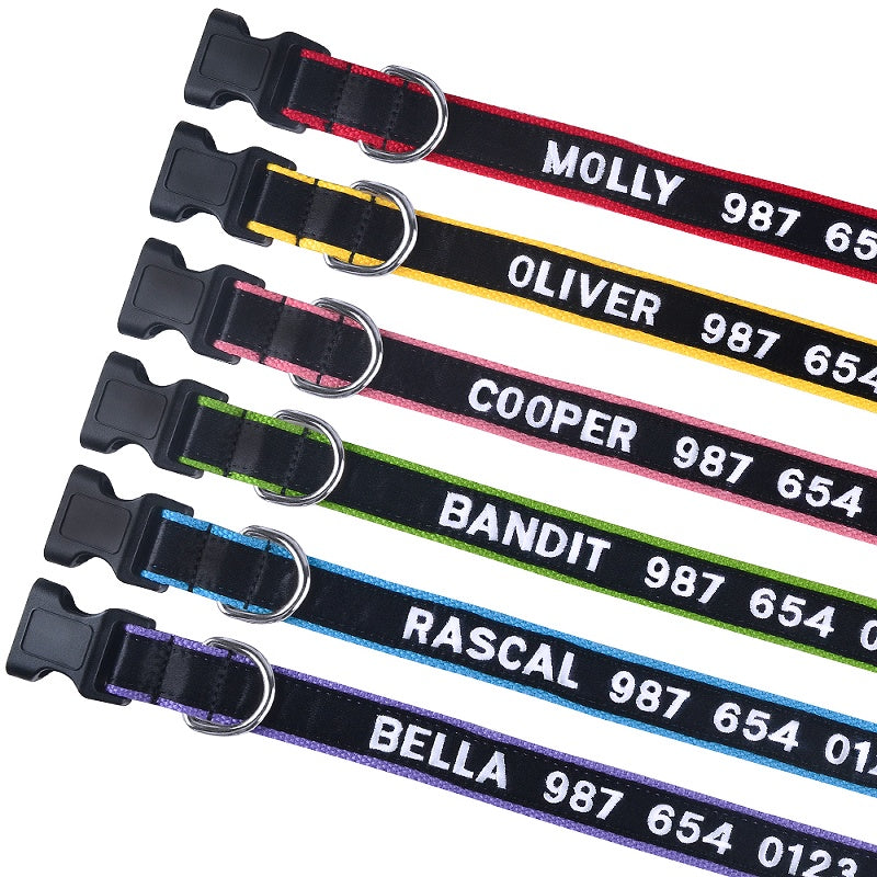 Nylon dog collar