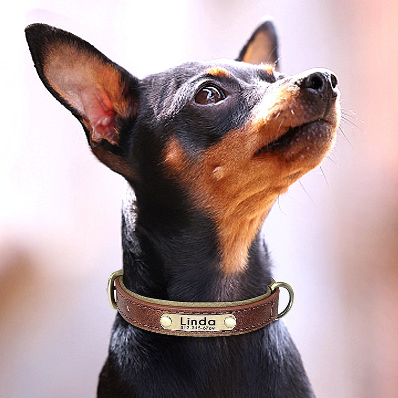 Personalizeddogcollar