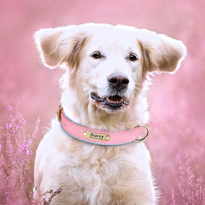 Personalizeddogcollar