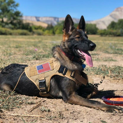 Tactical No Pull Military Dog Harness K9 Dog