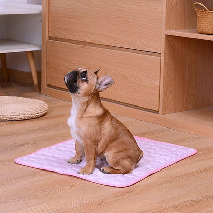 Breathable pet dog bed 