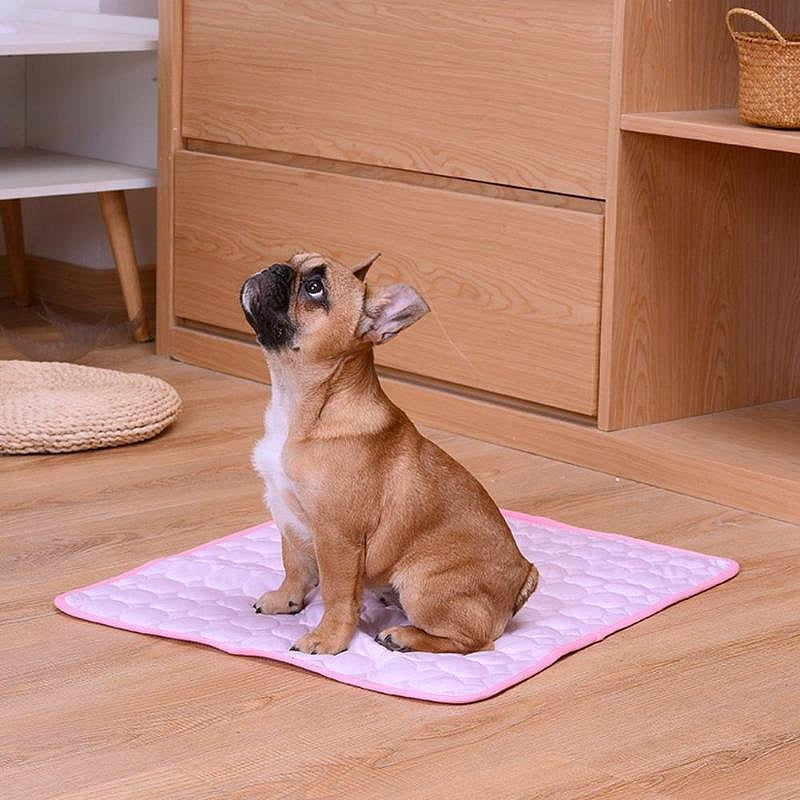 Breathable pet dog bed 