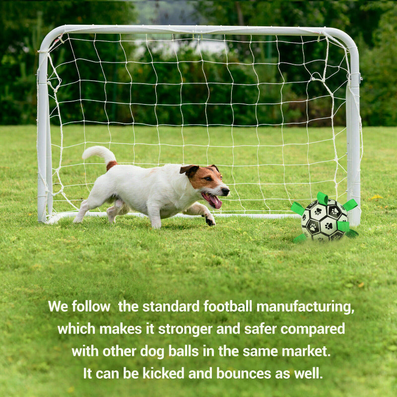 Dog Interactive Soccer Ball with Grab Tabs