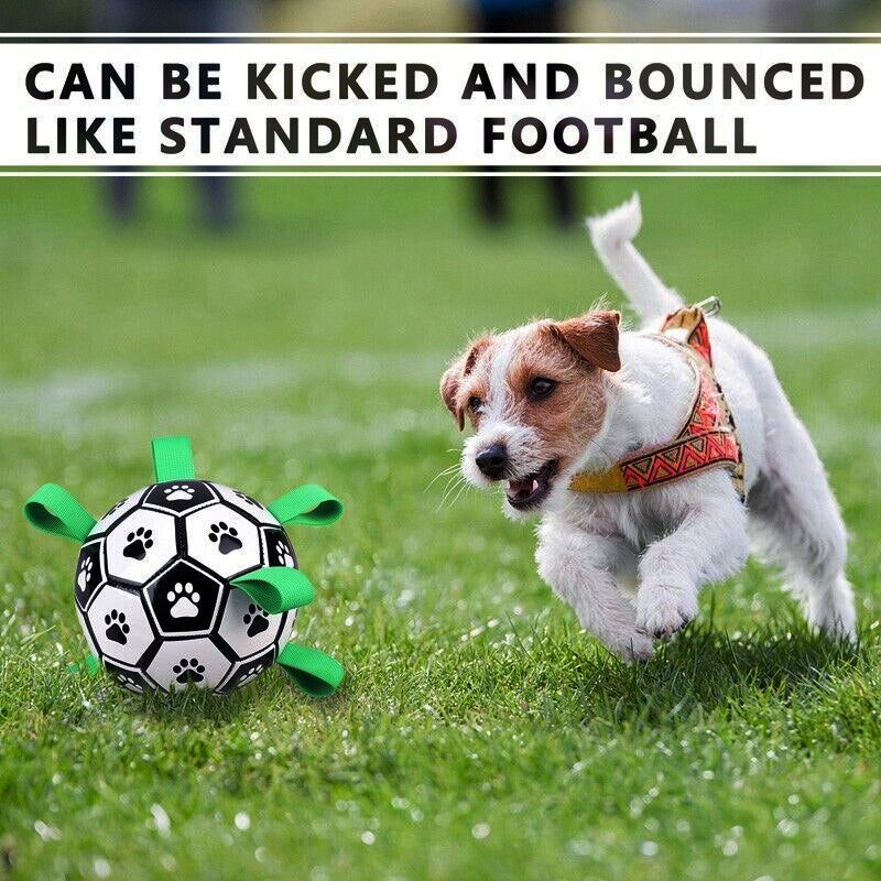 Dog Interactive Soccer Ball with Grab Tabs