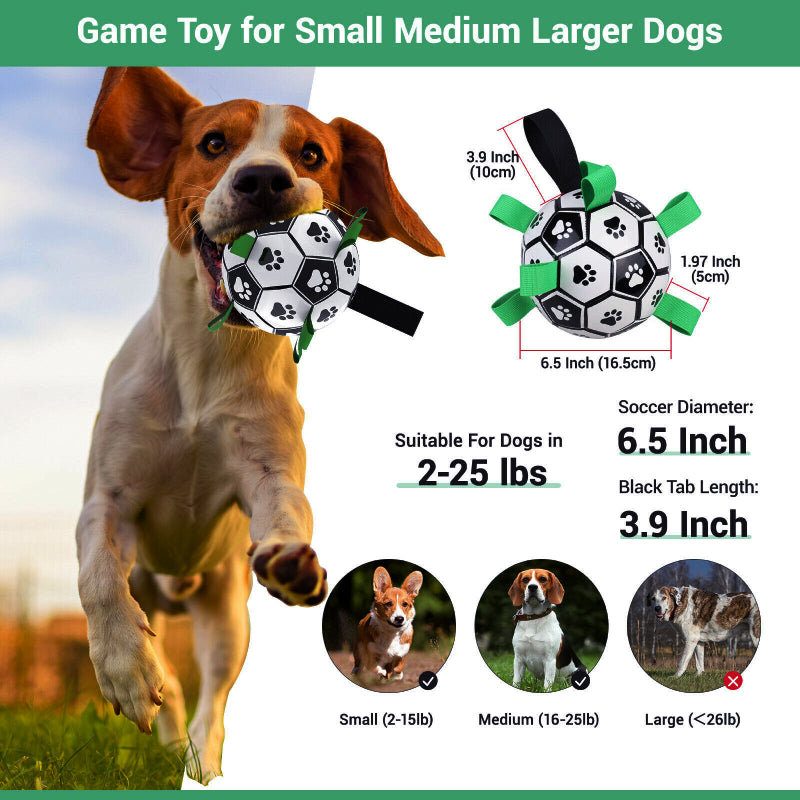 Dog Interactive Soccer Ball with Grab Tabs