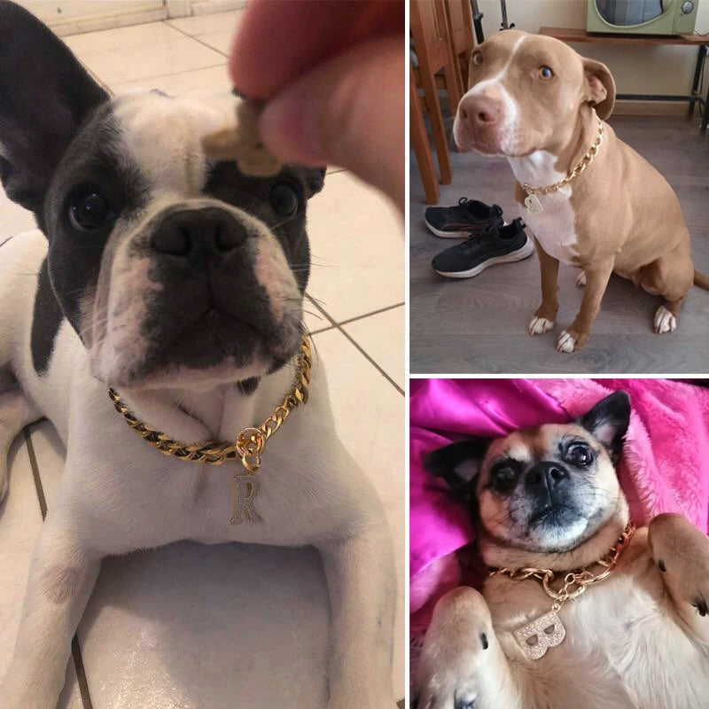 Personalized Dog Thug Chain Necklace