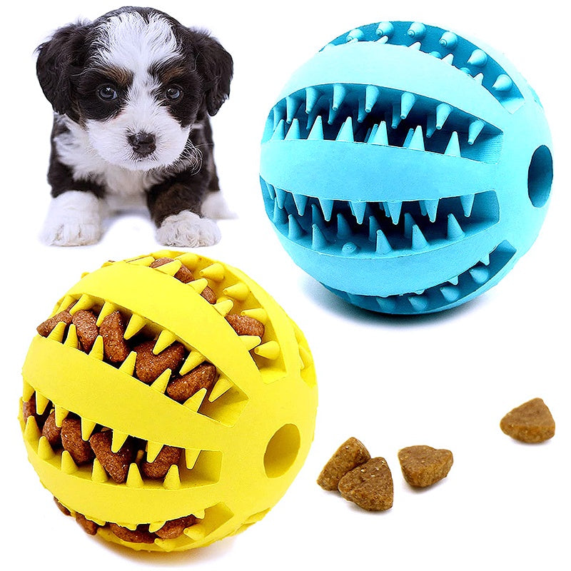 Entertainment and exercise tool for small dogs 