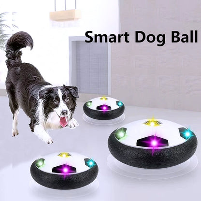 Dog Interactive Toys 