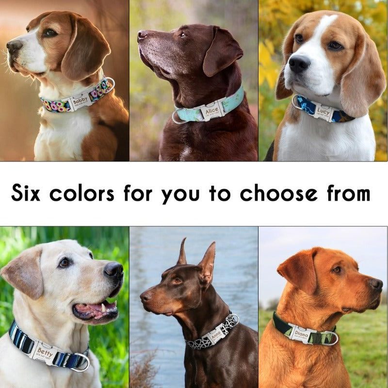 $ Personalized Nylon Dog Collar $