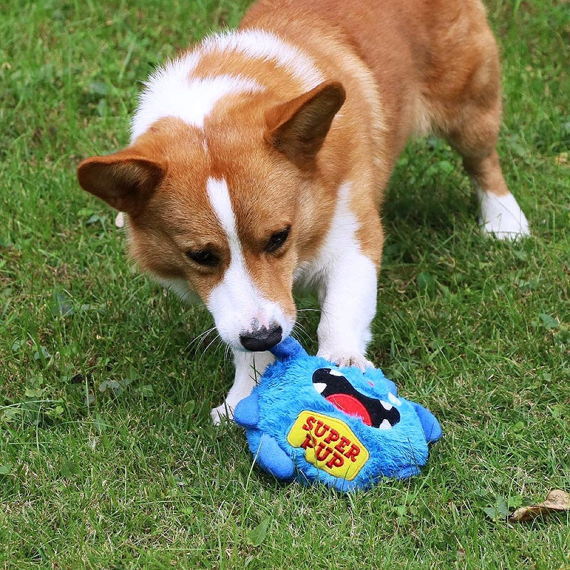 Automatic movement keeps dogs entertained 