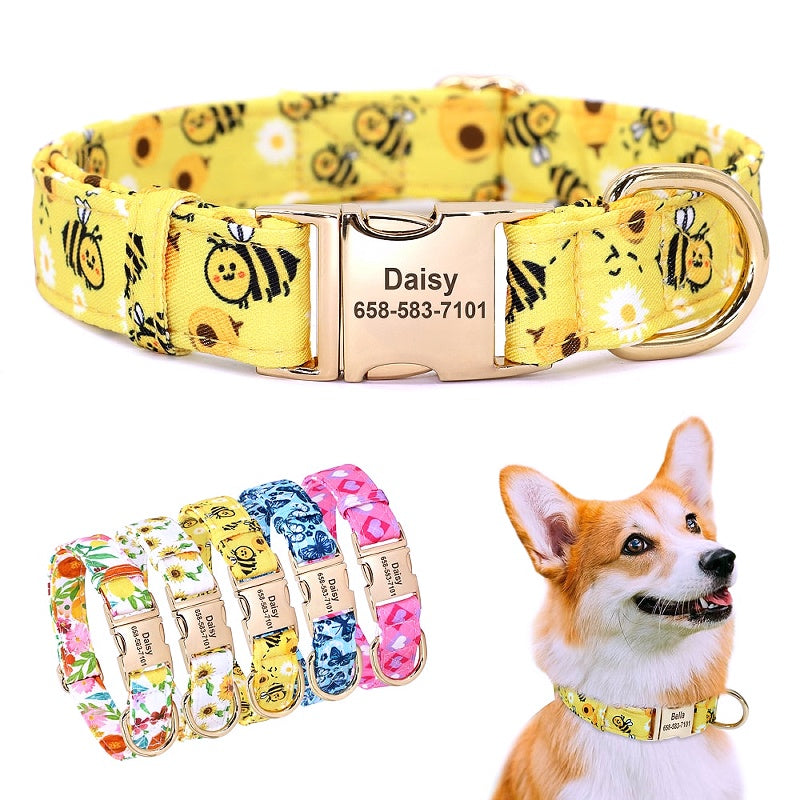 Small/Large Dog Chihuahua collars 