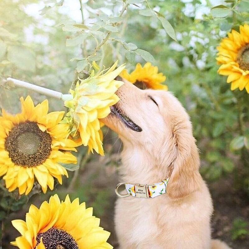 Flower bee printed collar