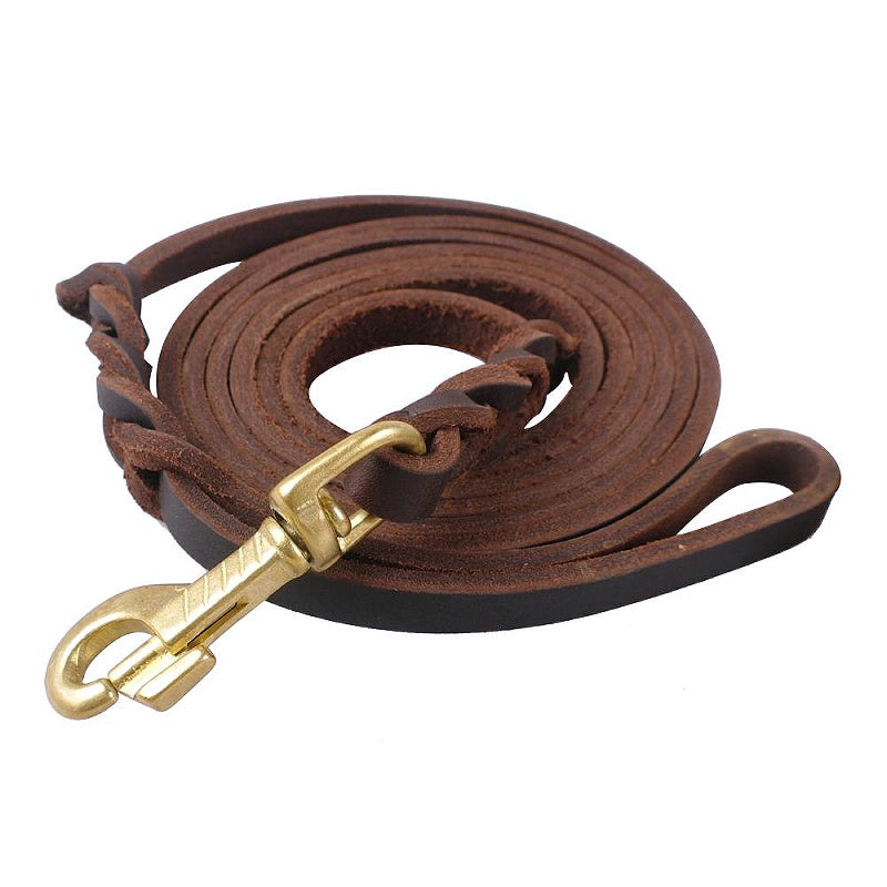 Brown color leather dog leash 