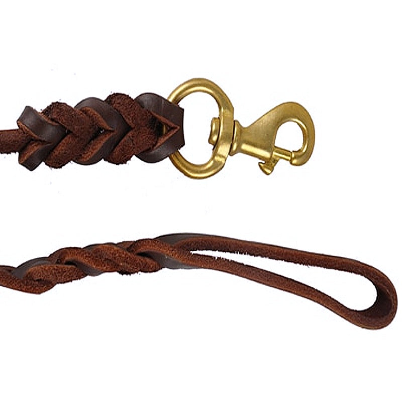 Long leashes for dogs