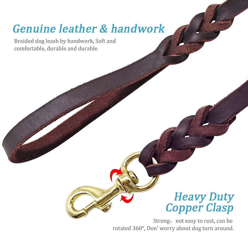 Long leashes for dogs