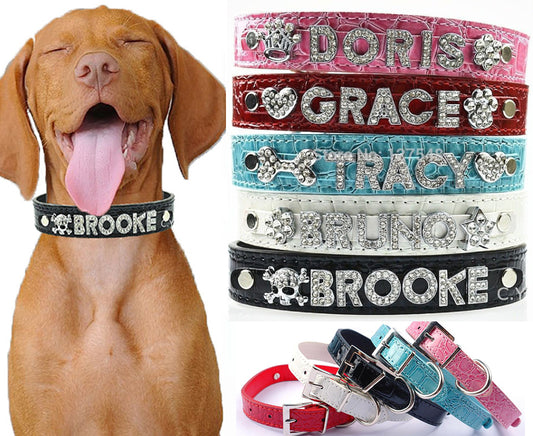 Personalized Charm Collar