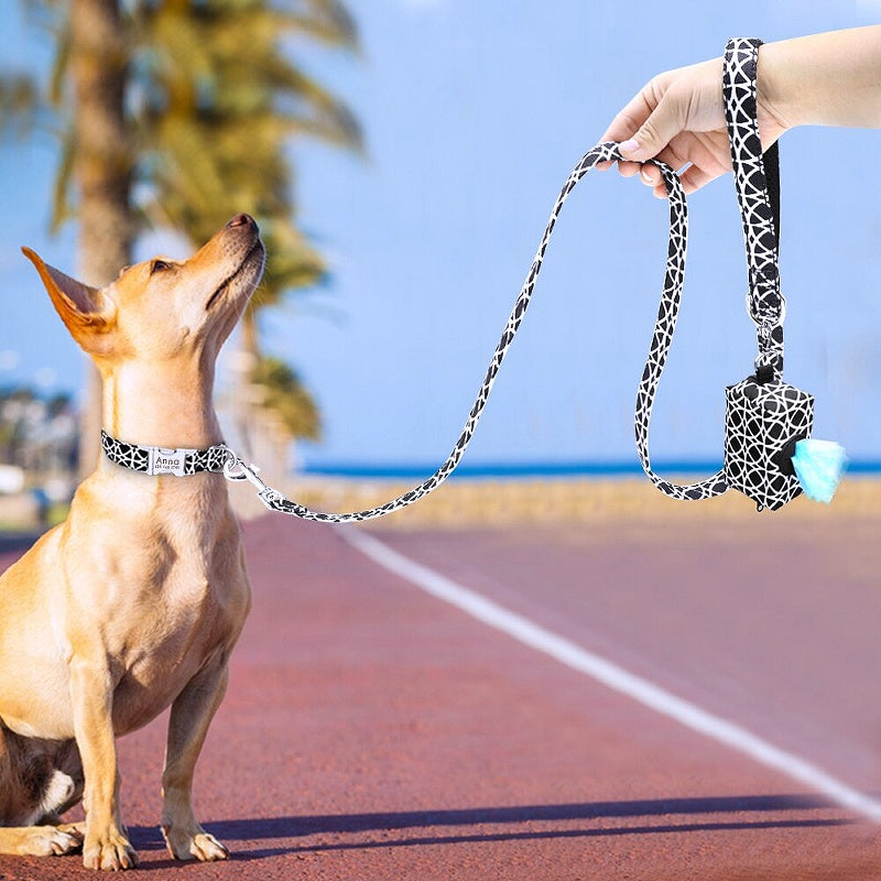 Nylon printed dog collar and leash
