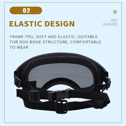 Anti-fog pet goggles 