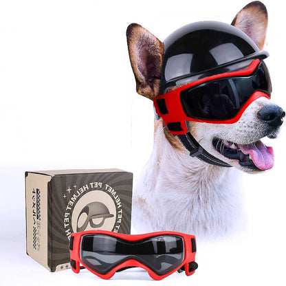 Dog sunglasses