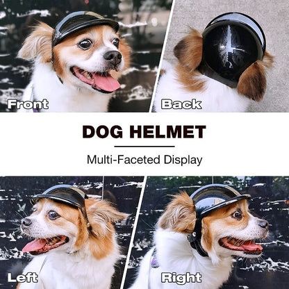 Dog goggles 