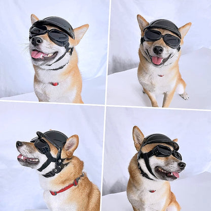 Motorcycle helmet for dogs