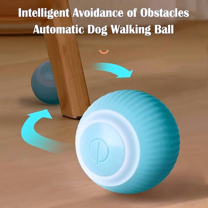 Smart dog toys