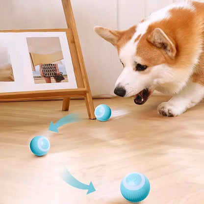 Motion activated pet toy .