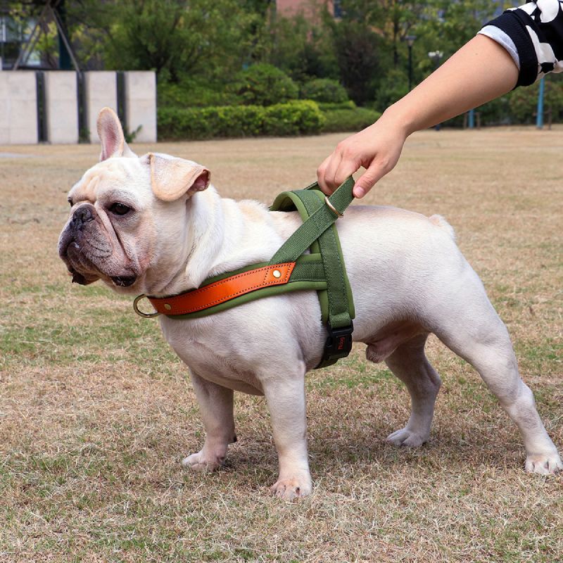 No Pull Nylon Leather Dog Harness