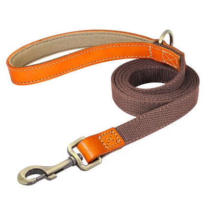 Matching Nylon Leather Dog Leash