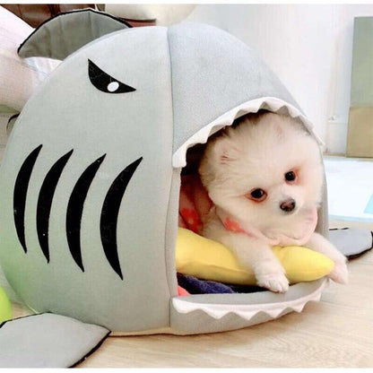 Small large waterproof pet cute shark outdoor cat house for kittens