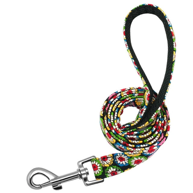 Matching Nylon Dog Leash