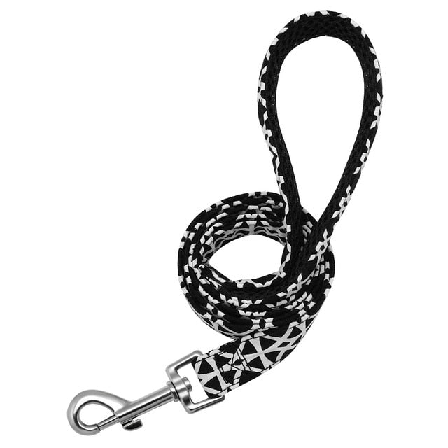 Matching Nylon Dog Leash