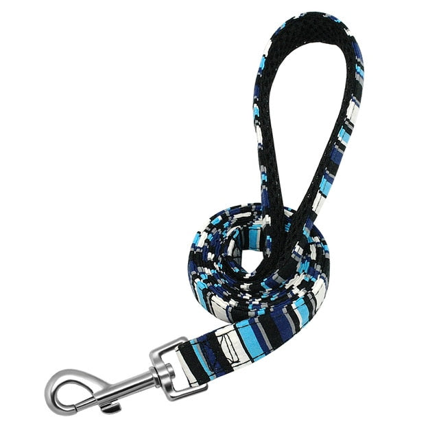 Matching Nylon Dog Leash