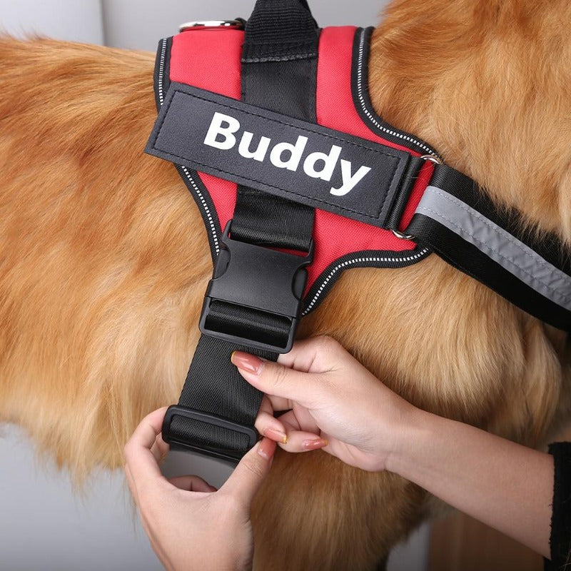 Personalized No Pull Reflective Harness