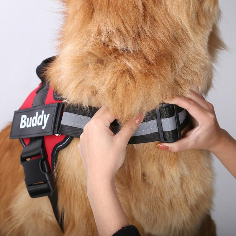 Personalized No Pull Reflective Harness