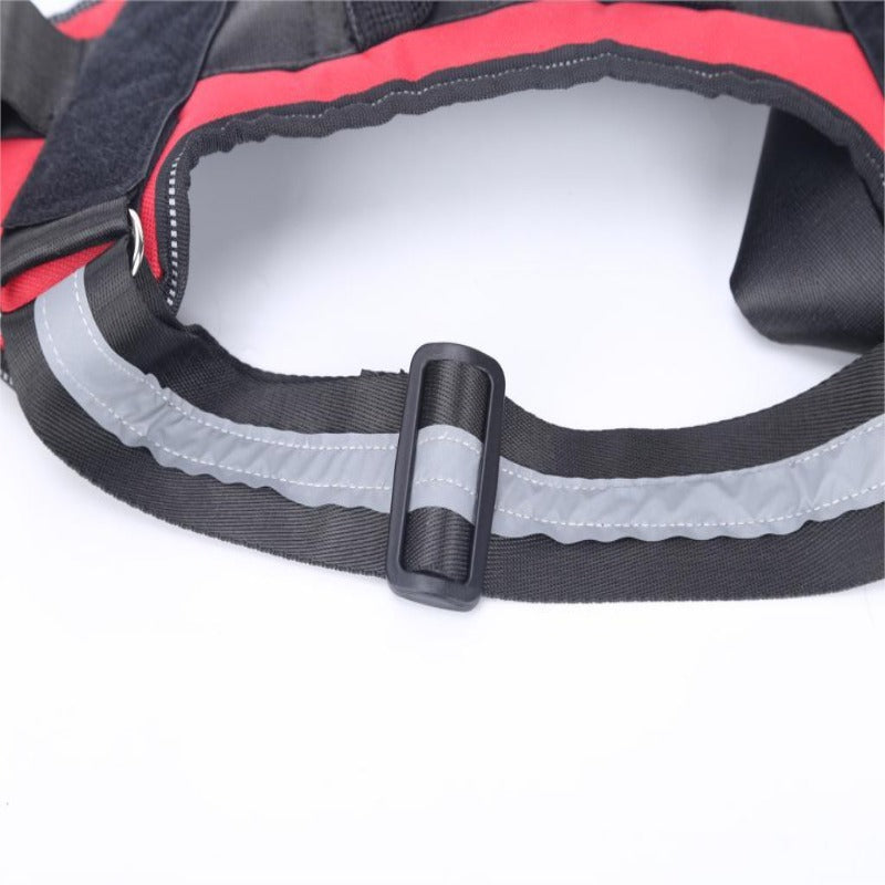 Personalized No Pull Reflective Harness