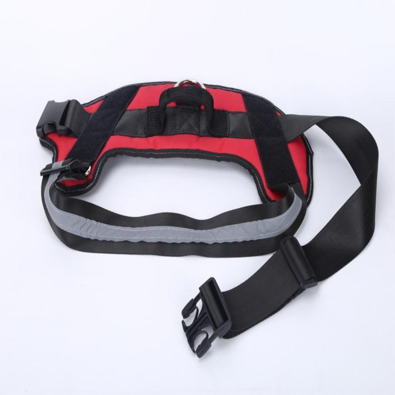 Personalized No Pull Reflective Harness