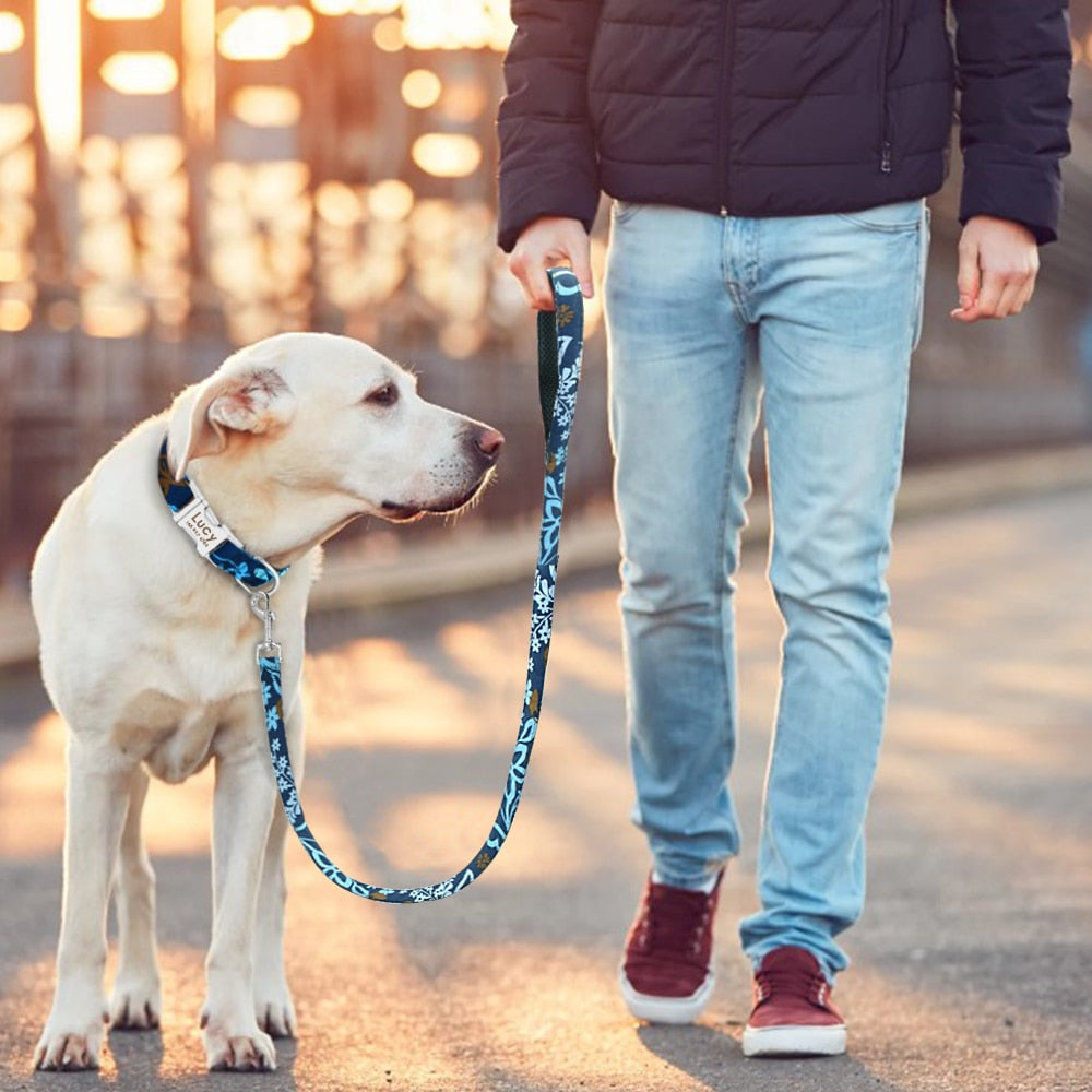 Matching Nylon Dog Leash