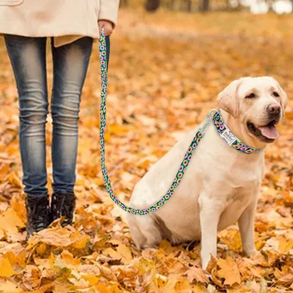 Matching Nylon Dog Leash